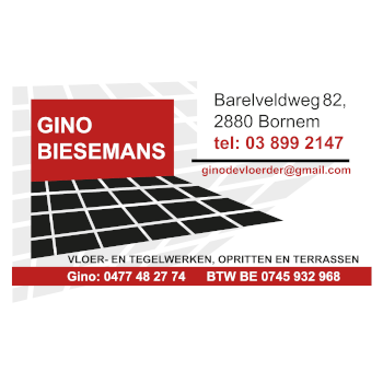 Gino Biesemans